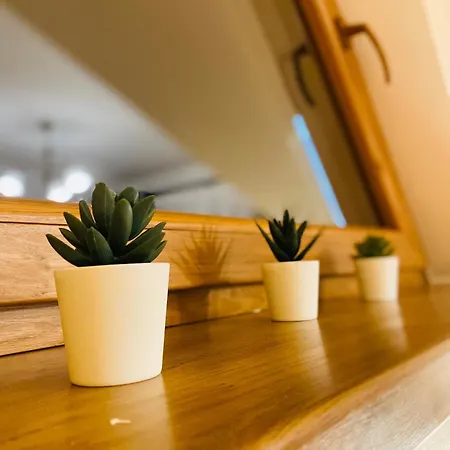 木屋 Przy Potoku 苏凯