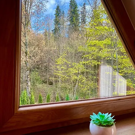 Przy Potoku Alpesi faház *