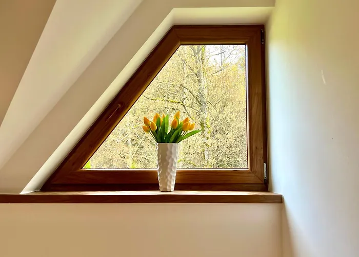 Przy Potoku Dağ evi